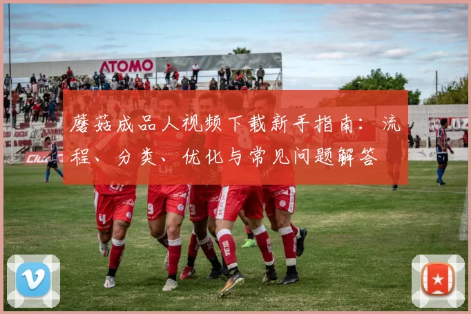 蘑菇成品人视频下载新手指南：流程、分类、优化与常见问题解答