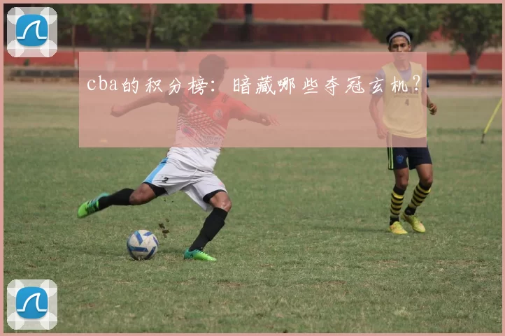 cba的积分榜：暗藏哪些夺冠玄机？