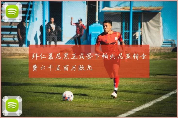 拜仁慕尼黑正式签下帕利尼亚转会费六千五百万欧元