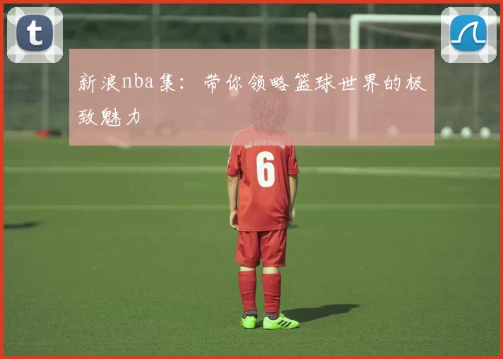 新浪nba集：带你领略篮球世界的极致魅力