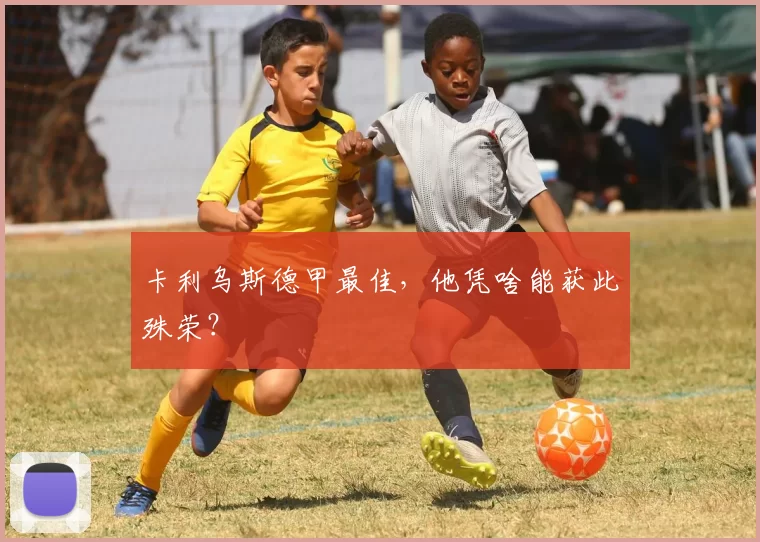 卡利乌斯德甲最佳，他凭啥能获此殊荣？
