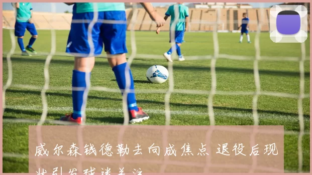 威尔森钱德勒去向成焦点 退役后现状引发球迷关注