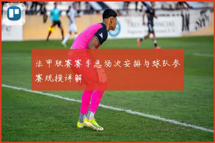 法甲联赛赛季总场次安排与球队参赛规模详解
