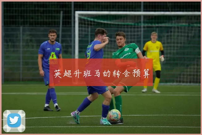 英超升班马的转会预算