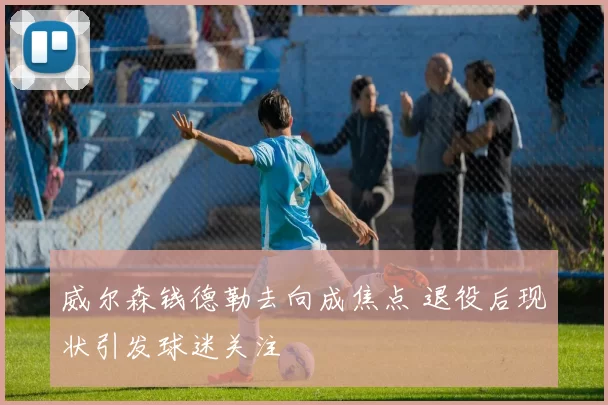 威尔森钱德勒去向成焦点 退役后现状引发球迷关注