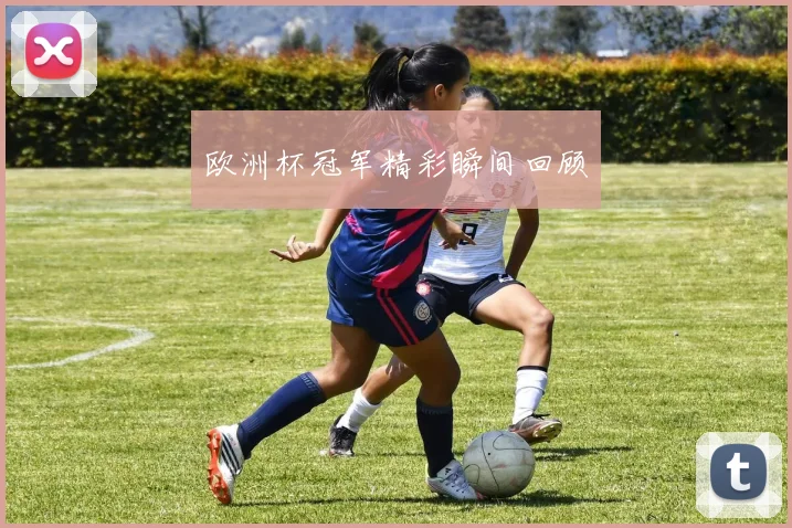 欧洲杯冠军精彩瞬间回顾