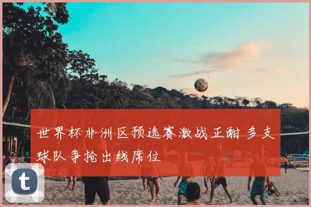 世界杯非洲区预选赛激战正酣 多支球队争抢出线席位