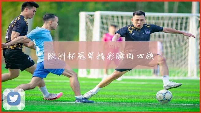 欧洲杯冠军精彩瞬间回顾